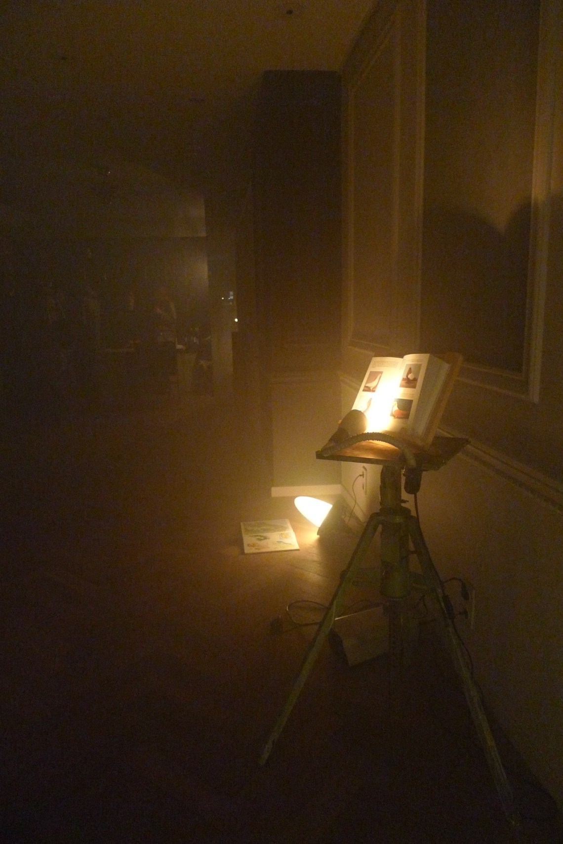 tumblr_n15pi5fA2J1tqyvhxo4_1280